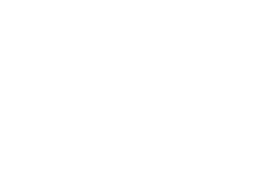 Logotipo de Devlyn